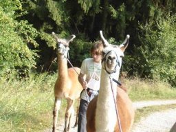 Lamatouren