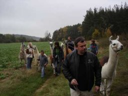Lamatouren
